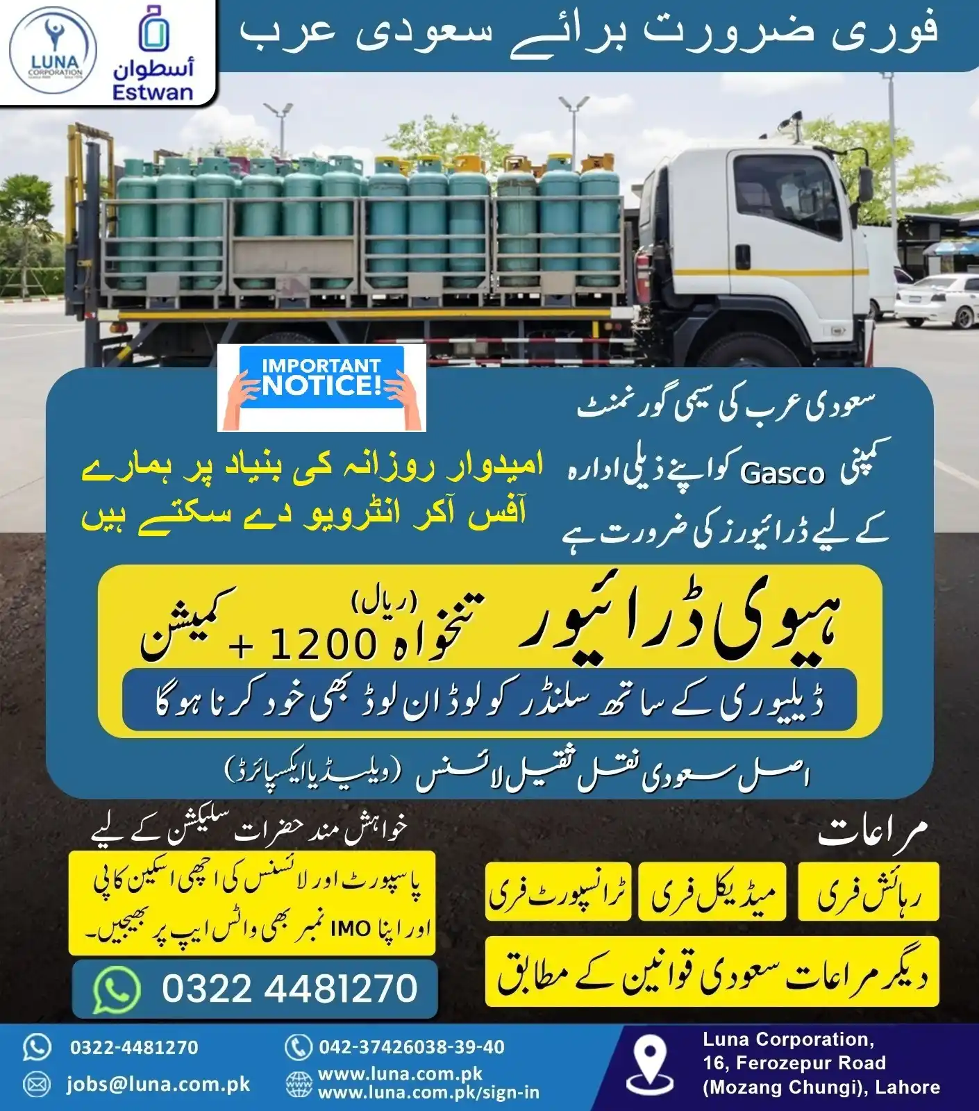 Luna Corporation post