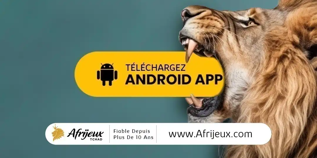 Image from Afrijeux: http://www.afrijeux.com/...