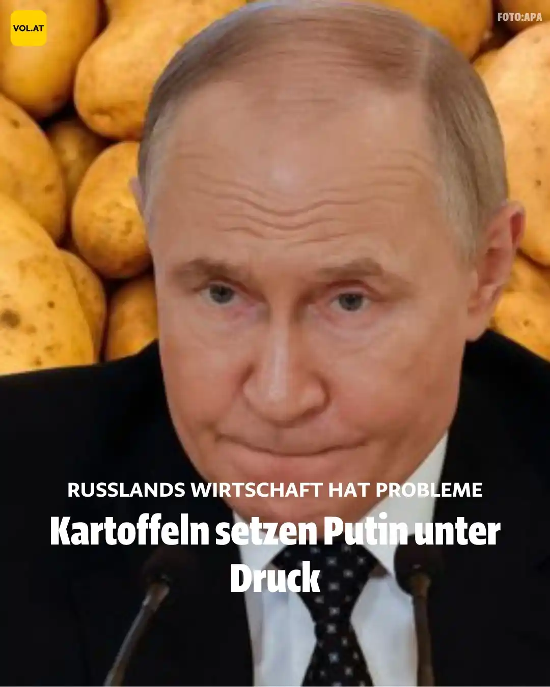 Image from VOL.AT Vorarlberg Online: *Kartoffeln setzen Putin unter Druck*➡️https://bit.ly/4naEqri...