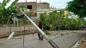 Image from NOTICIAS VENEZUELA: 📢Sucre: el paso de la onda tropical Nº 6 dejó árboles caídos, viviend...