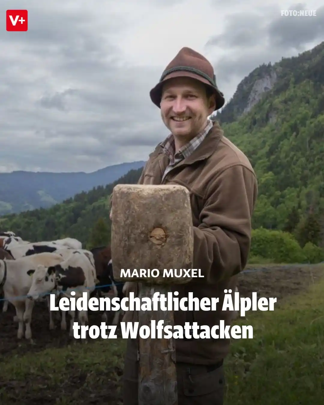 Image from VOL.AT Vorarlberg Online: [V+] *Monatelang lebt Mario Muxel als Älpler fernab der Zivilisation –...