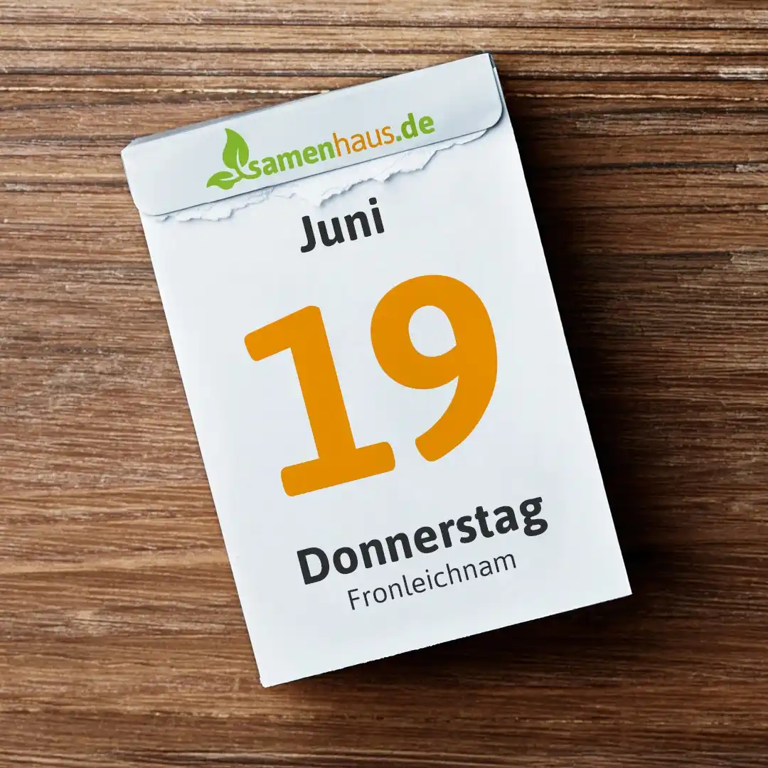 Image from Samenhaus.de Gartenkanal: *Zu Fronleichnam blühen die Straßen auf!* Weltweit entstehen kunstvoll...