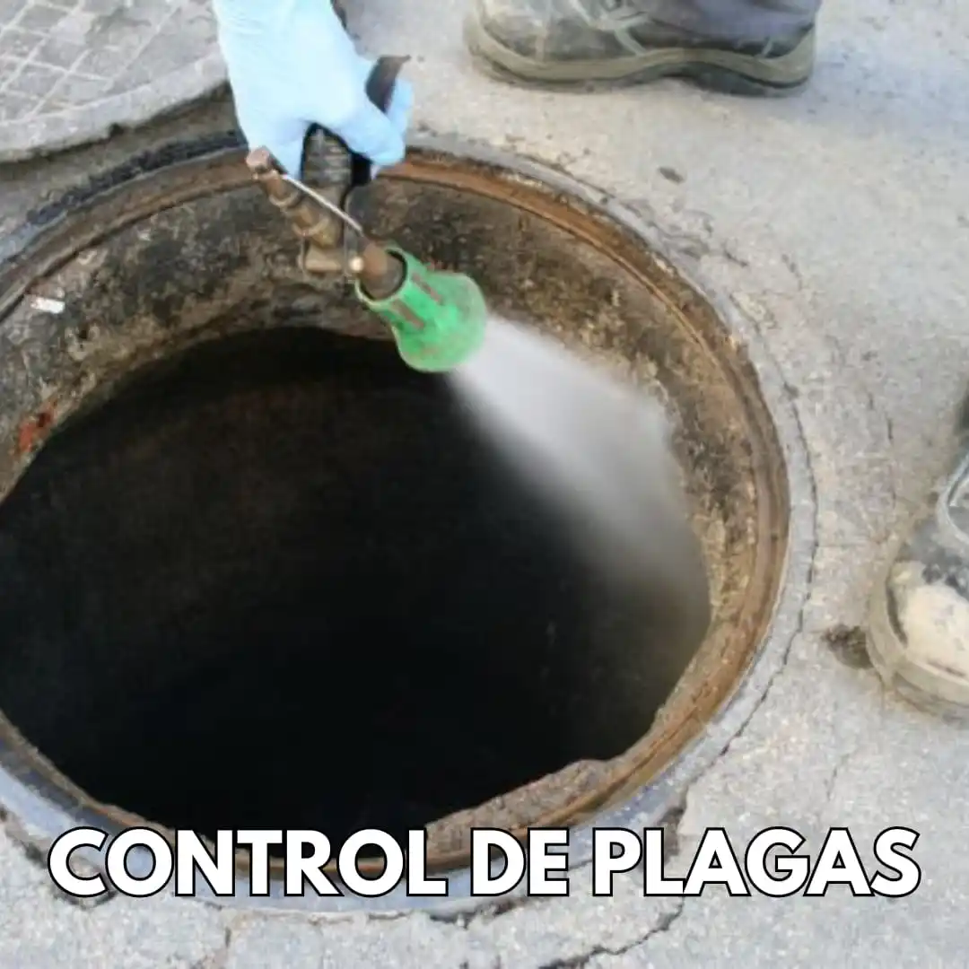 Image from Ayuntamiento de Recas: Aviso: Durante la semana, se realizarán trabajos de desinsectación y d...