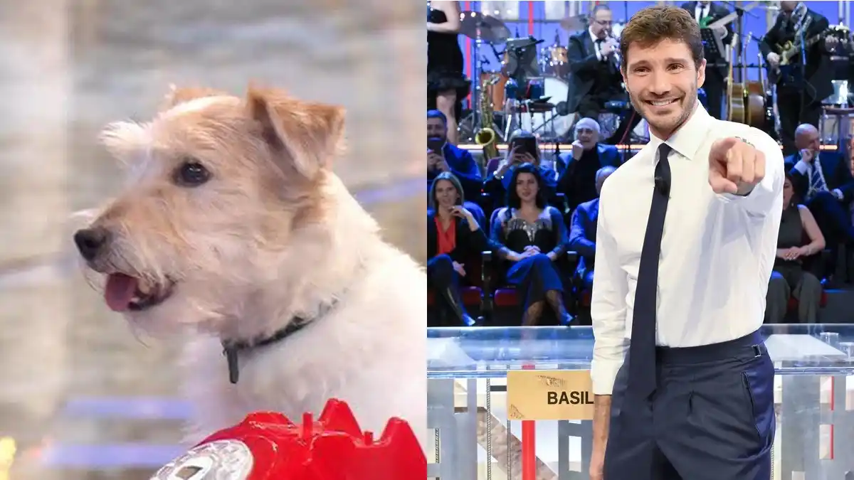 Image from Libero Magazine: De Martino e il cane Gennarino, l’incontro (indimenticabile) prima di ...