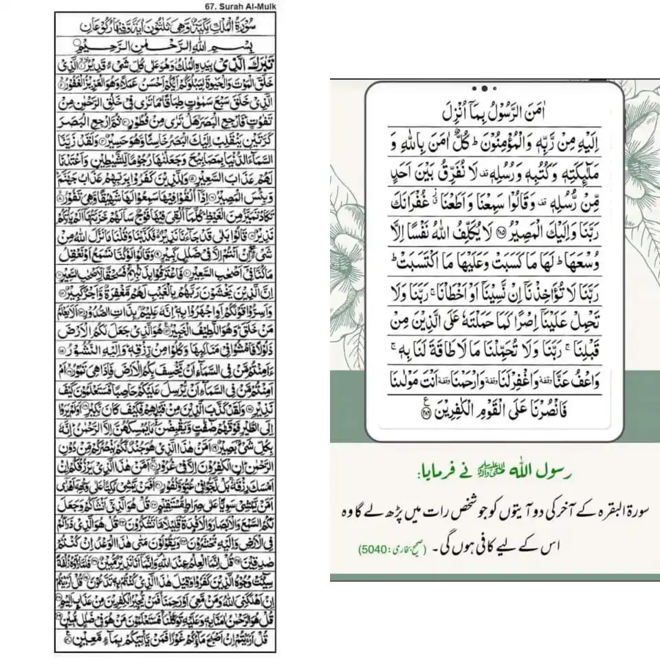 Image from 🌹اصلاحی باتیں بیان نظمیں🌹 Whatsapp Status Naat Nazam ,Islamic Stories اردو نعت بیان اسلامک سٹیٹس: *رات کو سونے سے پہلے سورة المک اور سورة البقرة کی آخری دو آیات کی تلاو...