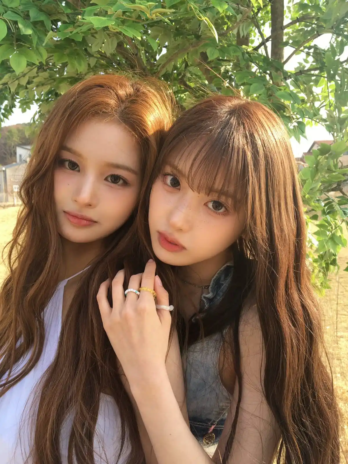 Image from NMIXX | 𐙚 INFO: 🖼️ | *TWITTER* `# SULLYOON & JIWOO 🦌🐶` [25/06/19]  > ⌕ La cuenta @W...