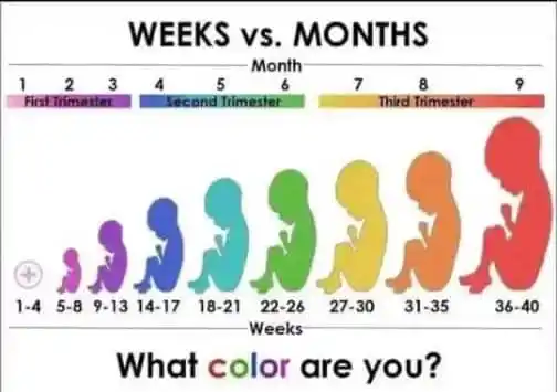 Image from ZimVitals Health⚕🇿🇼: *🍼 Ultrasound Scan Guide During Pregnancy 🤰🏽* Knowing when and *wh...
