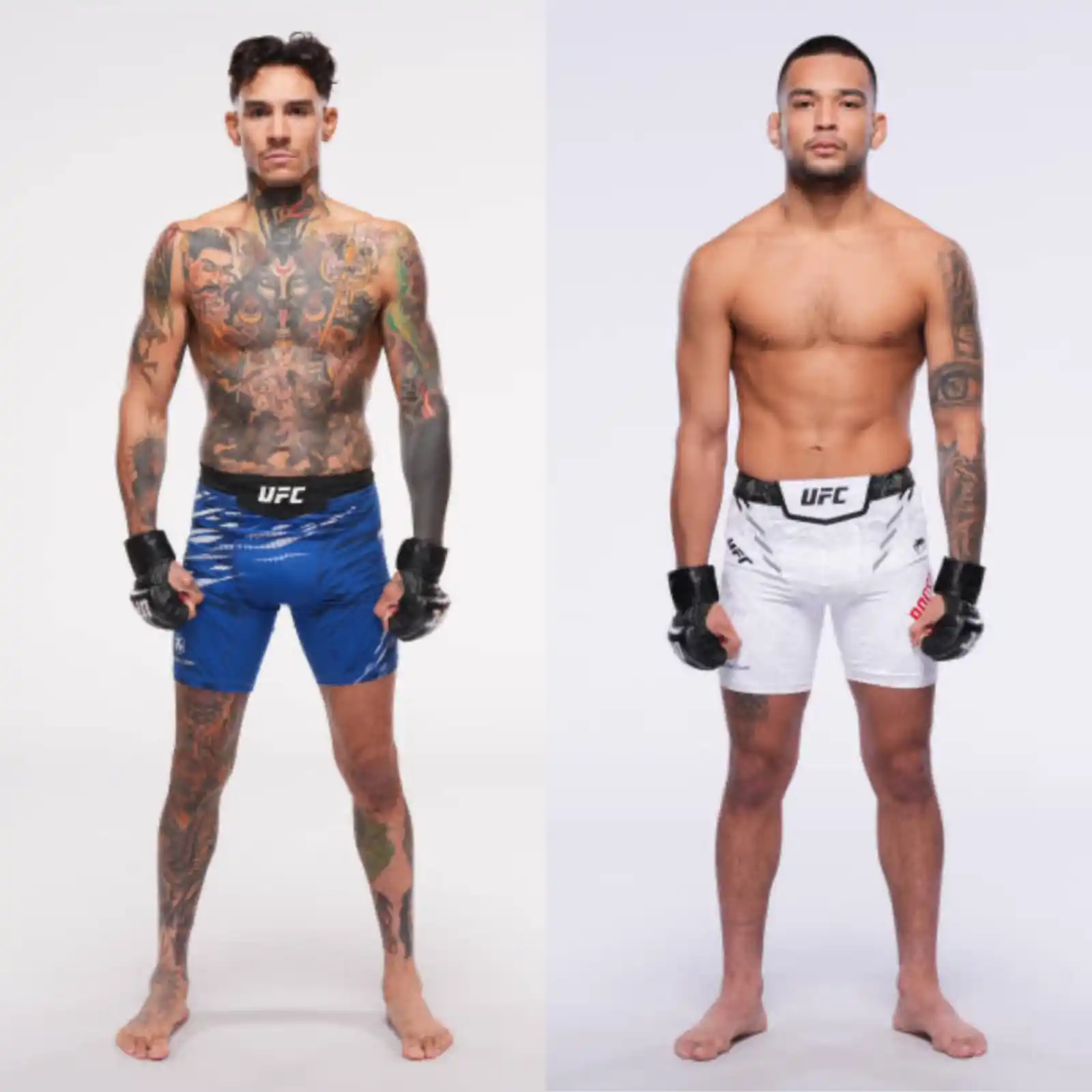 Image from MMA Orbit: 🔥Andre Fili will take on Christian Rodriguez at <a class="text-blue-5...