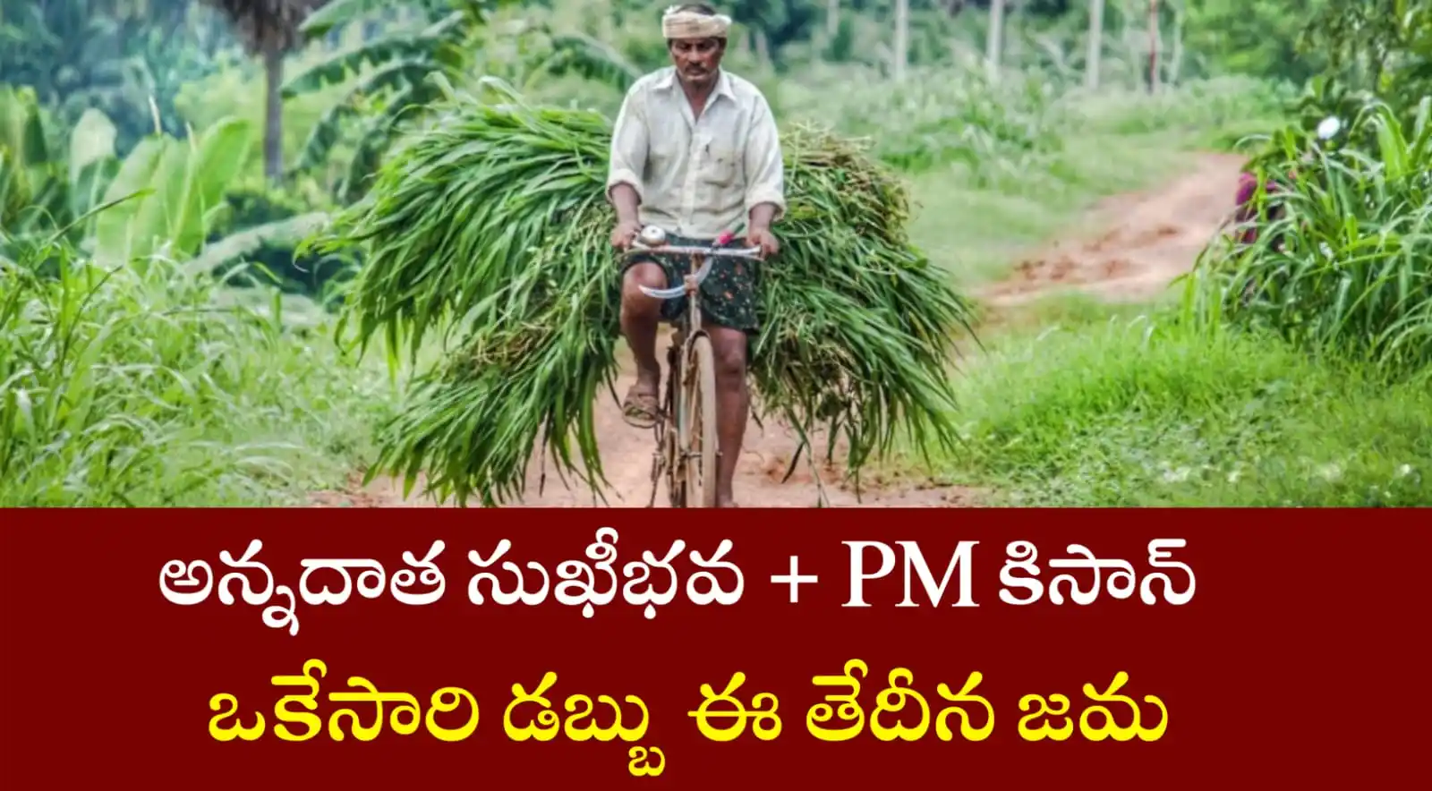 Image from Akhil Careers: 🚨 అన్నదాత సుఖీభవ & PM కిసాన్ అర్హుల జాబితా ✅Check👇👇 https://akhilj...