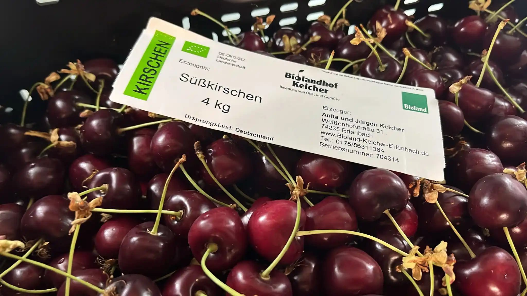 Bio Gläßle  post