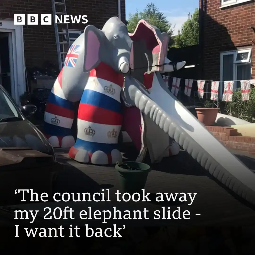 Image from BBC News: A man has said he will pay "whatever it takes" to have a 20ft-long ele...