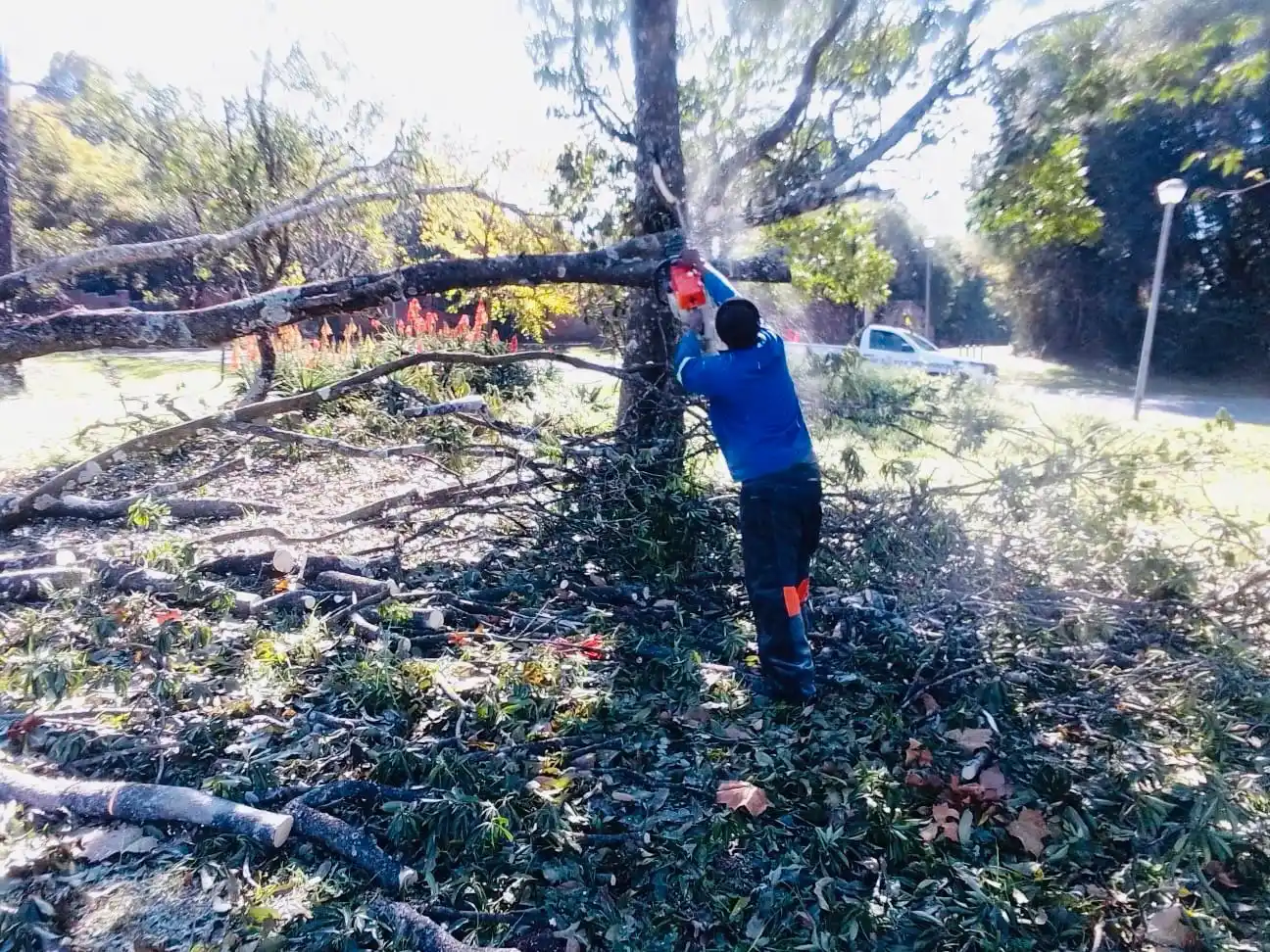 Image from uMngeni Municipality : A MUNICIPALITY AT WORK Our parks and gardens teams continued with the...