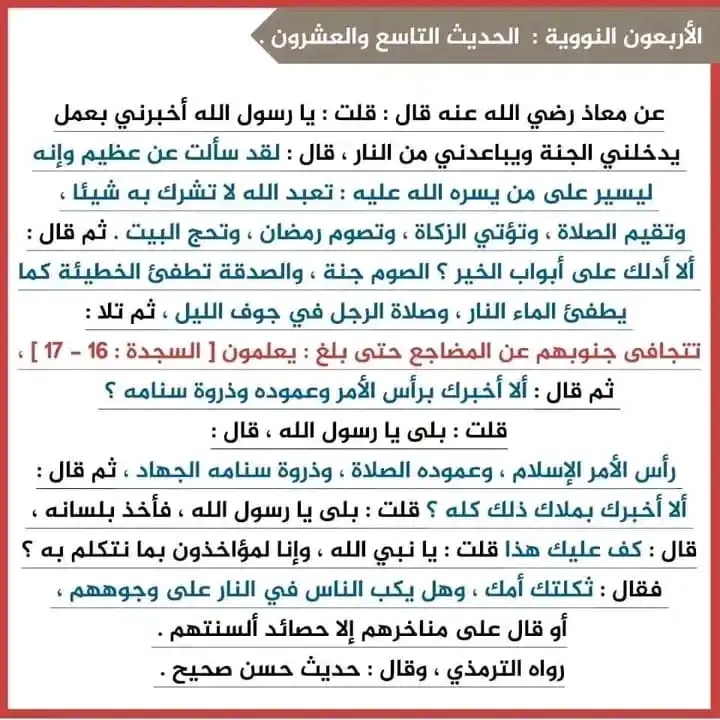 Image from اَلمُؤنِـسَاتُ الغَالِـيَاتْ🎀🌸: *الشرح🌸🫧* *قال معاذٌ رضي الله عنه: كنتُ مع النبي صلى الله عليه وسلم...