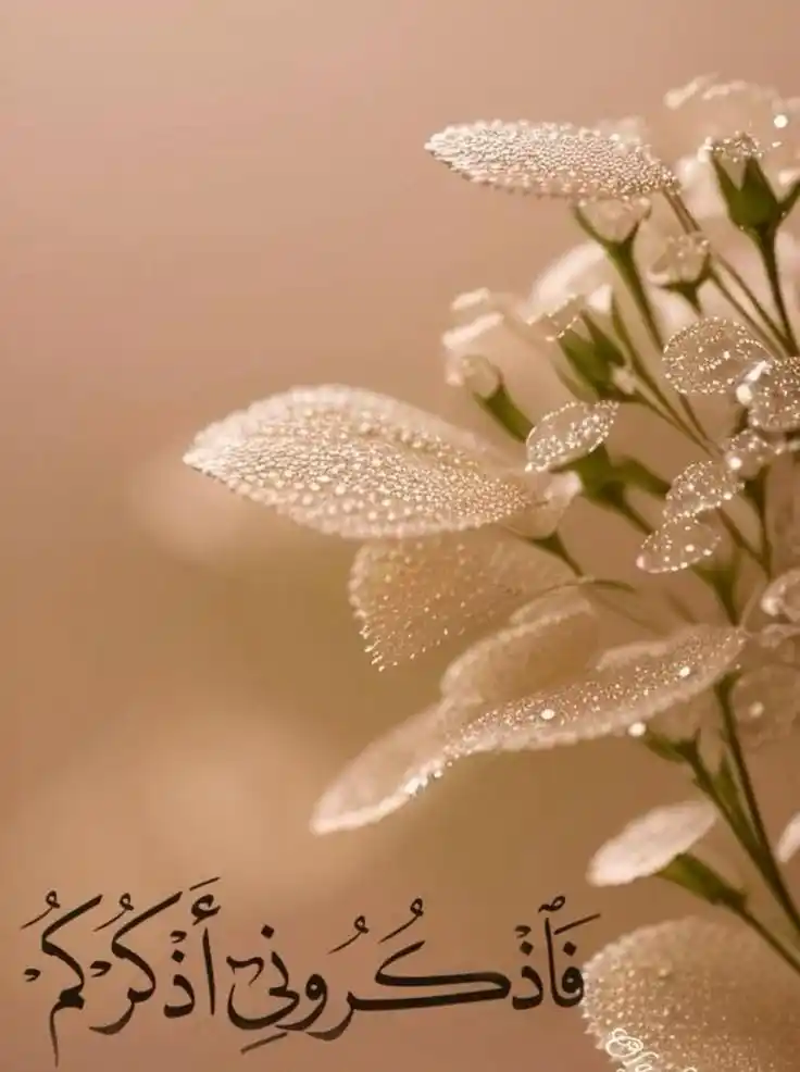 Image from Mere Jazbaat ,,,✍️ Gouri: *اے گنہگاروں کو بخشنے اور عیبوں پر پردہ ڈالنے والے عظیم رب، ہمارے صغیر...