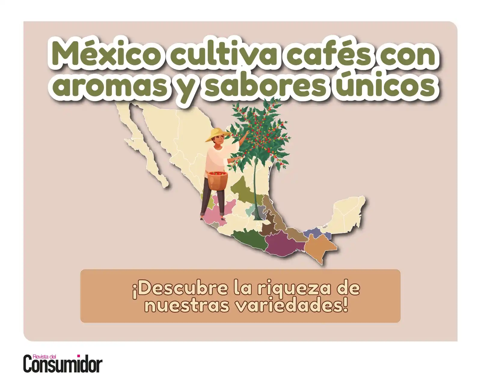 Image from Revista del Consumidor: ¿Conoces las variedades de café que se dan en nuestro país? Te contamo...