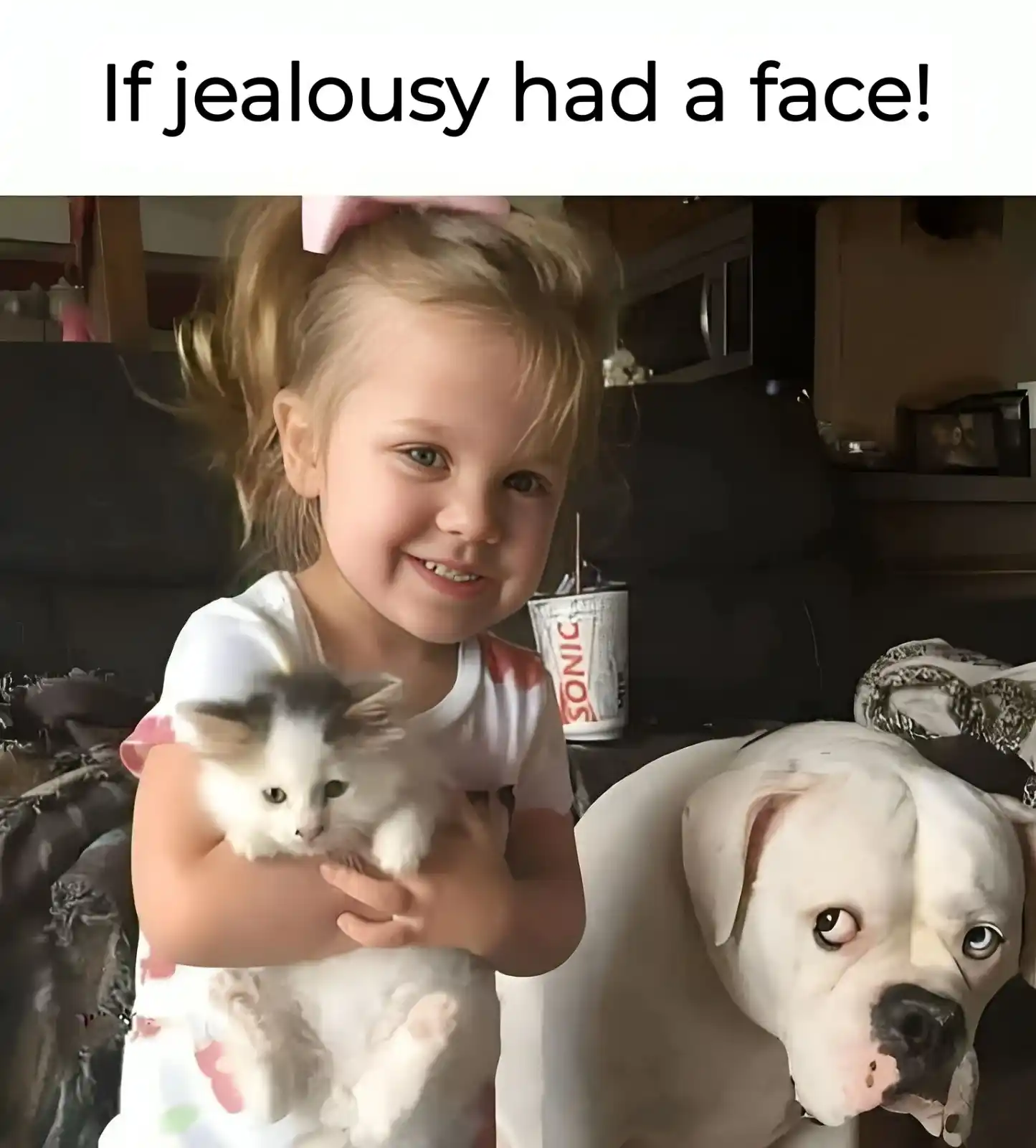 Image from Who Cares?: Cute! 🥰...