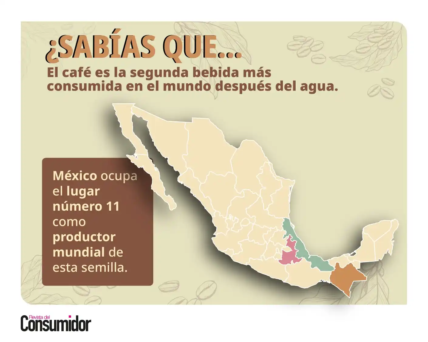 Image from Revista del Consumidor: ✨ Este mes, en la Revista del Consumidor, el café es el protagonista. ...