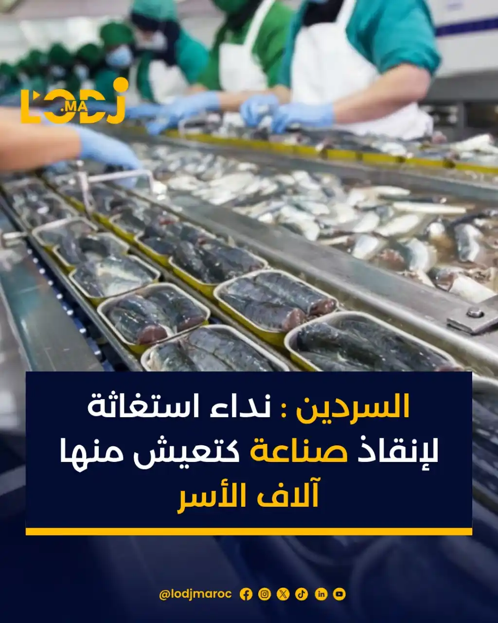 Image from LOpinion DJ: فـ الجمعية العامة ديال الاتحاد الوطني لصناعات الأسماك المعلبة (UNICOP)...