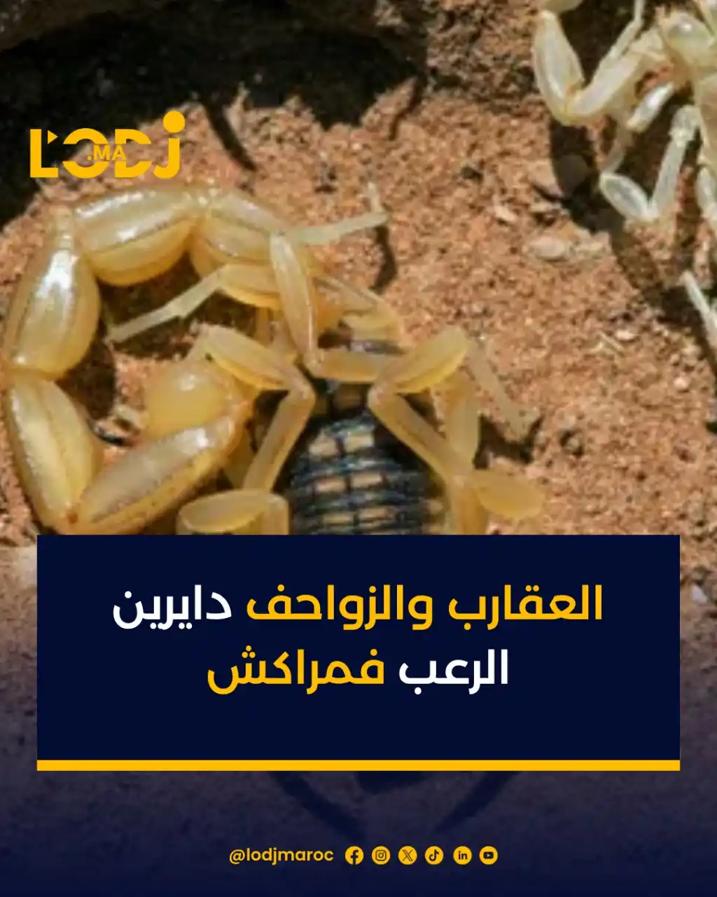 Image from LOpinion DJ: مع الصيف و السخونية اللي ولات كتزحف على مراكش ☀️، بدات كتخرج مع الحرار...