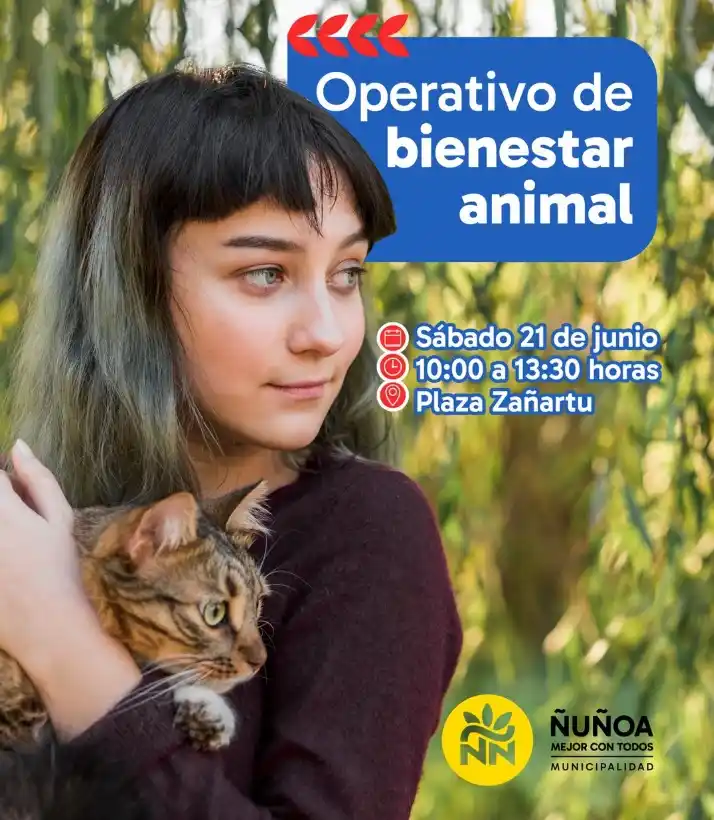 📢 #ÑuñoaAlDía • Sector 5 post