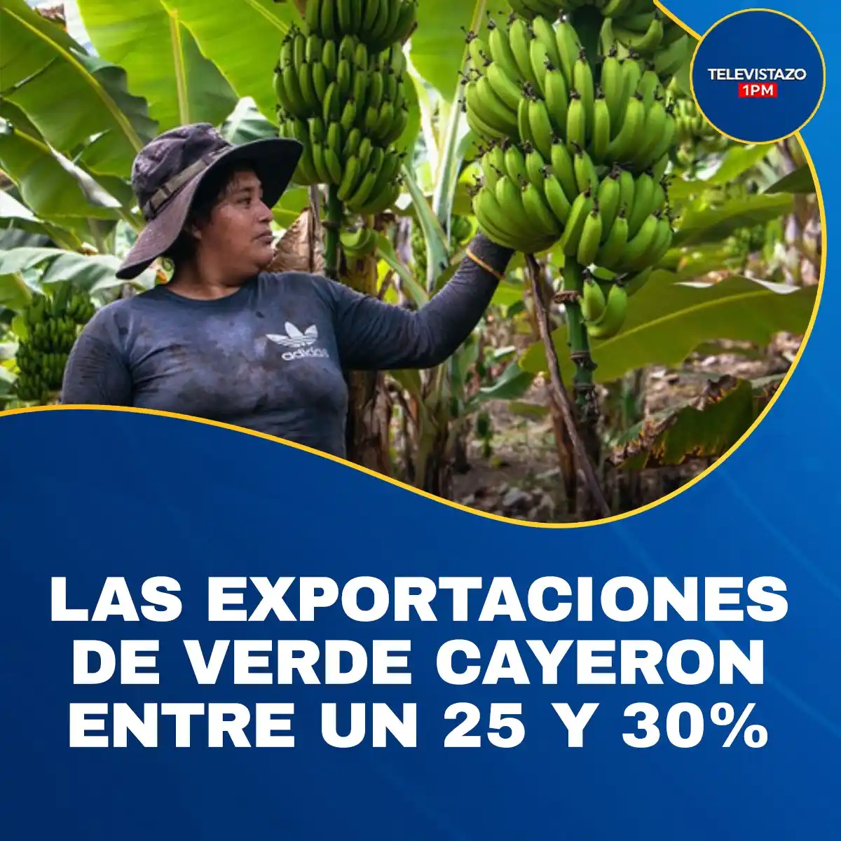 Image from Ecuavisa: 🔴 <a class="text-blue-500 hover:underline cursor-pointer" href="/hash...
