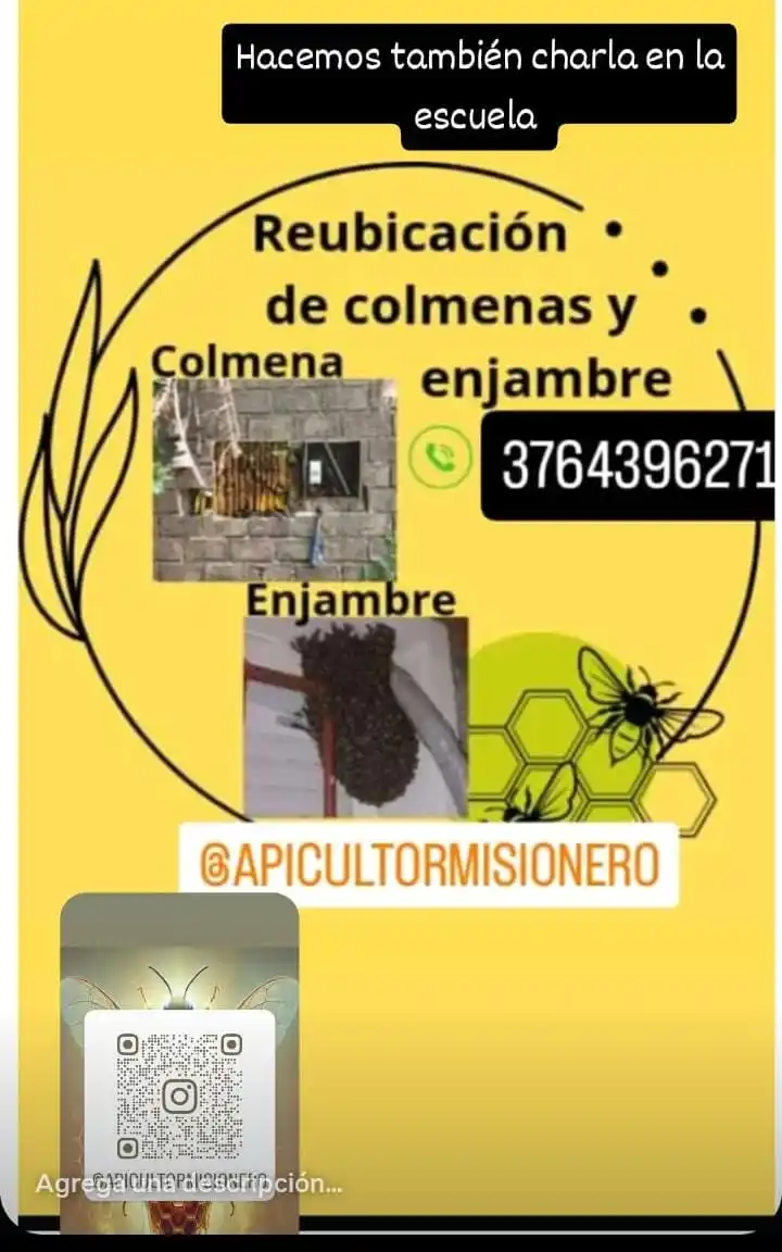 Image from PORTAL EMPLEO MISIONES: +54 9 376 439-6271...