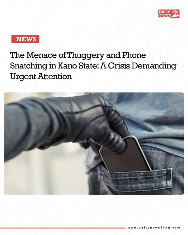 Image from Daily News 24 - dailynews24ng.com: The Menace of Thuggery and Phone Snatching in Kano State: A Crisis Dem...