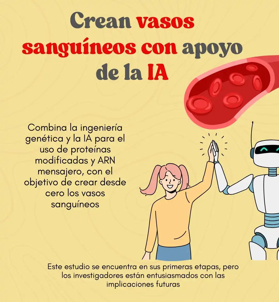 Image from Sumédico.com: 🤖🩸 Crean vasos sanguíneos con ayuda de la IA: ¿qué beneficios traerá...