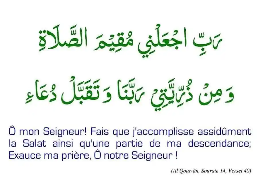 Image from Purification Des Coeurs Autour Des Valeurs De L'islam: https://whatsapp.com/channel/0029Va8pDce9RZAfl3YrHx1T Celui qui veut...