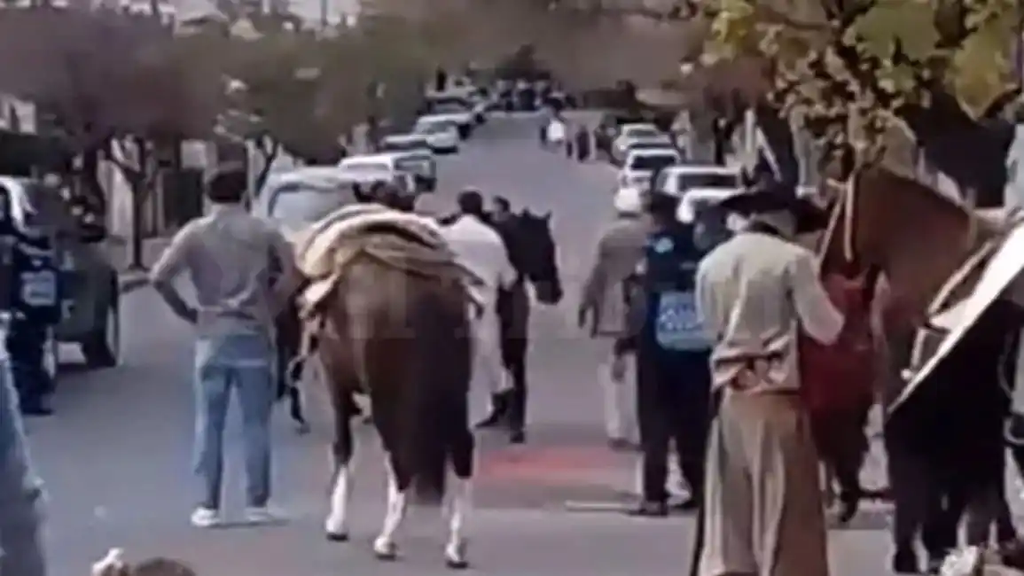 Image from El Tribuno Salta: *Murió el caballo que se descompensó durante el desfile en honor al Ge...