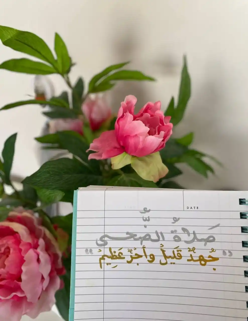 Image from مَعـــاً إلَـــىٰ الْجَــنَّـــة••᭓🌸: *صلاة الضحى هي سنة مؤكدة تأخذ القليل من وقتك لتعطيك بركة اليوم كله.. أ...