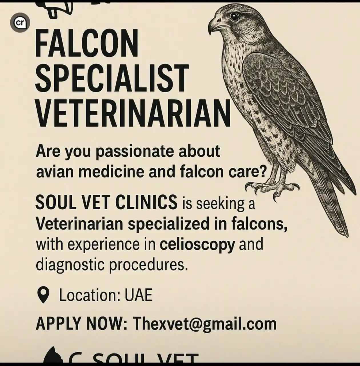 Image from The Veterinarians Platform (TVP) اول منصة على الواتساب خاصة بالأطباء البيطريين : Job No 1️⃣1️⃣5️⃣6️⃣ UAE 🇦🇪 للاطلاع على كل ما هو جديد في مجال البيطر...