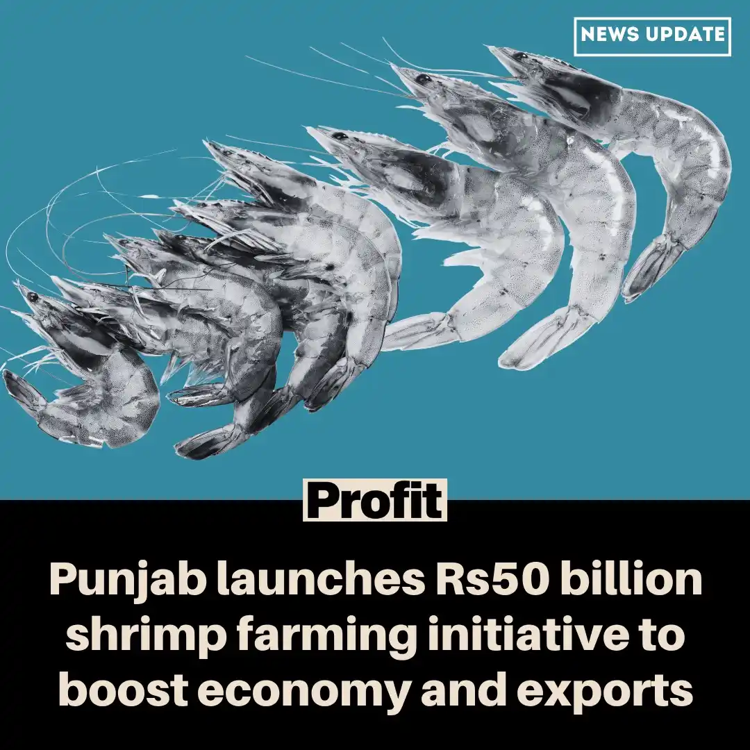 Image from Profit: Plan includes shrimp farming estates, a model fish market, and integra...