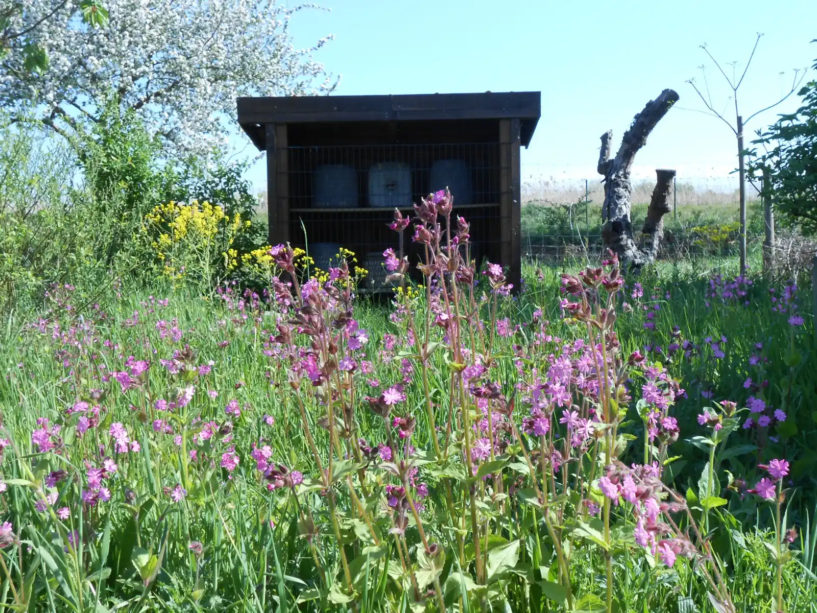 Image from SG Wathlingen: >> Aktuelles aus der Samtgemeinde Wathlingen <<  Sie möchten die Zukun...