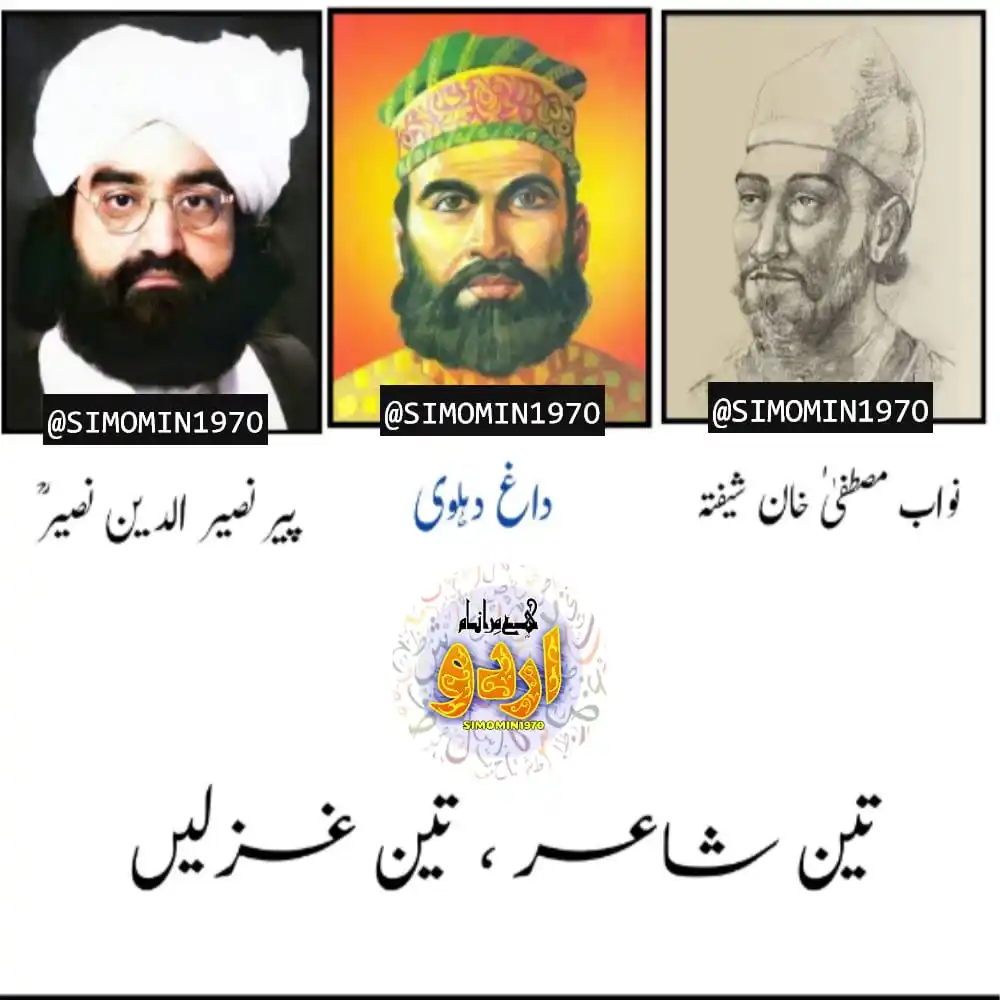 Image from SIMOMIN1970: ایک زمین / ایک بحر، ایک ردیف، تین شاعر  ’’آنا دل کا‘‘ ۔۔۔۔۔۔۔۔۔۔۔۔۔۔۔۔...