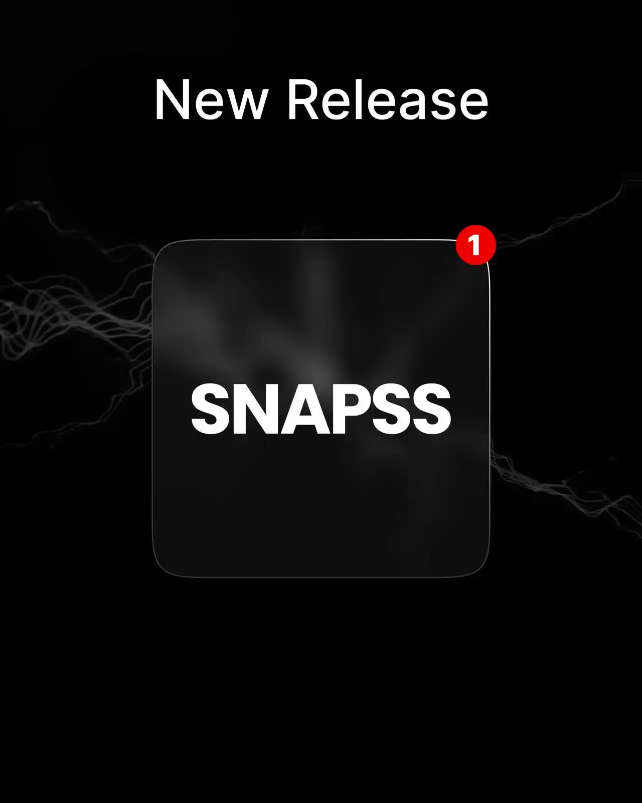 Snapss post