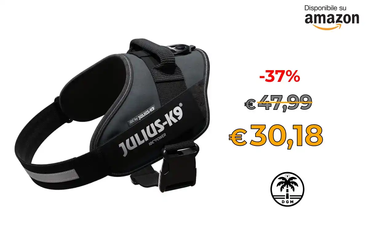Image from Offerta DgM: 🌋 Prezzone 🌋 🛍️in Vendita su AMAZON  * ⭕ Julius-K9, Pettorina IDC P...